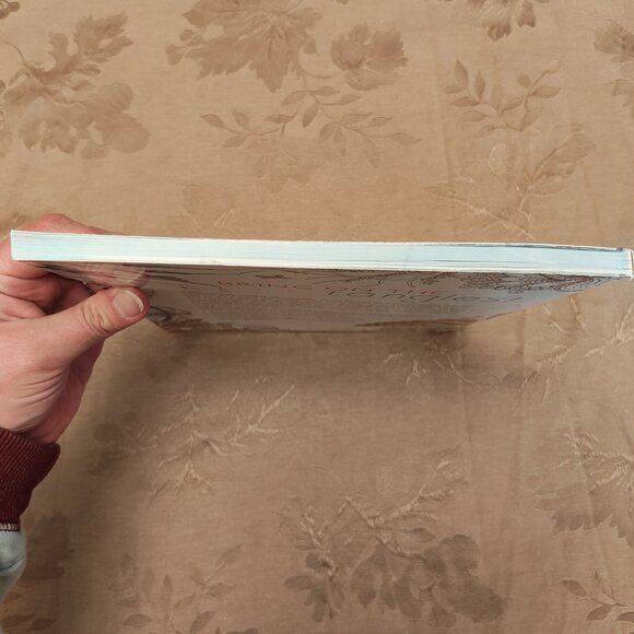 Zen Doodle Oodles of Doodles by Tonia Jenny, Paperback, New Without Tags! - Picture 4 of 9